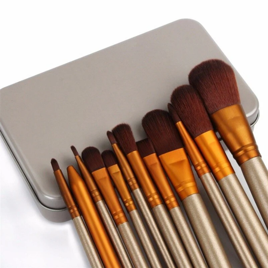12 PCS Makeup Brushes Set In Aluminum Box