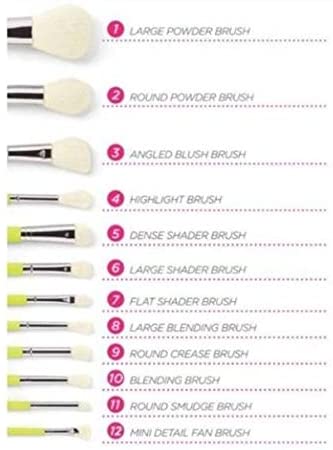 BH Cosmetics Colour Festival 12 Piece Brush Set